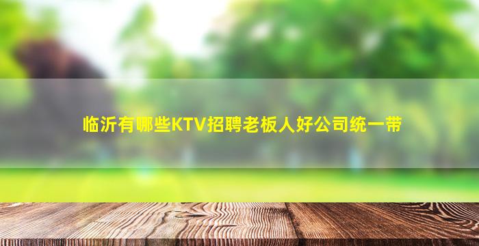 临沂有哪些KTV招聘老板人好公司统一带